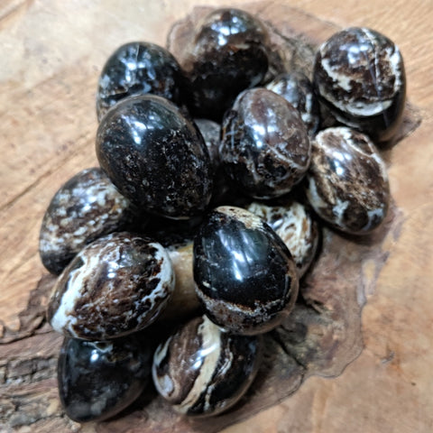 Black Opal Eggs~CRBLKOPE