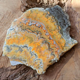 Bumblebee Jasper Slab~CRBBJS05