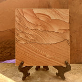 Picture Sandstone Slab~CRPSNDS2