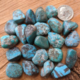 Turquoise Nugget-Small~CRTNUGSM