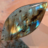 Labradorite Cabochon~JCABLA09