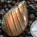 Labradorite Cabochon~JCABLA10