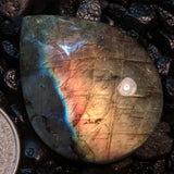 Labradorite Cabochon~JCABLA12