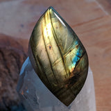 Labradorite Cabochon~JCABLA20