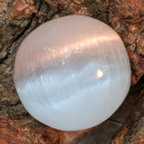 Selenite Sphere-Medium~ CRSELSMD