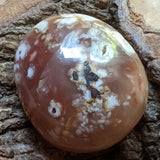 Manifestation Chalcedony Palm Stone~CRMCPS03