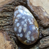 Manifestation Chalcedony Palm Stone~CRMCPS04