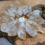 Sagenite Quartz Crystals~CRSAGQTZ