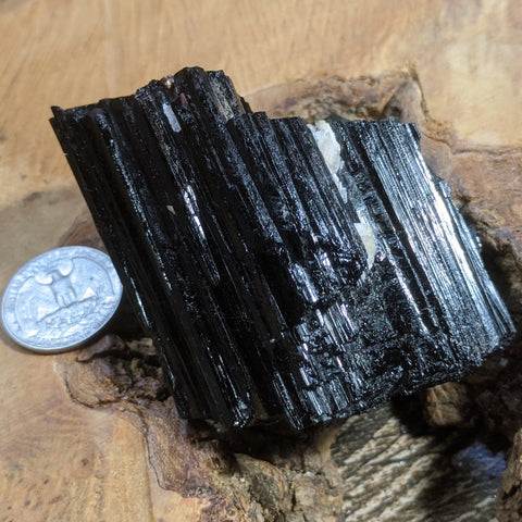 Black Tourmaline Crystal- CRBTRM31