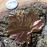 Real Copper Crimson King Maple Leaf-CRCCKML2