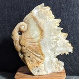 Butterfly Carving~CRCBTRFY