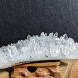 Feather Carving-Large~CRCFTHRL