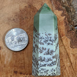 Dendritic Sage Green Jasper Generator~CRDSGJ05
