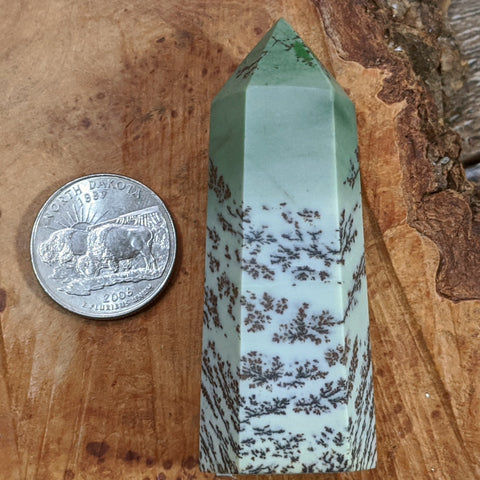 Dendritic Sage Green Jasper Generator~CRDSGJ05