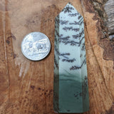 Dendritic Sage Green Jasper Generator~CRDSGJ06