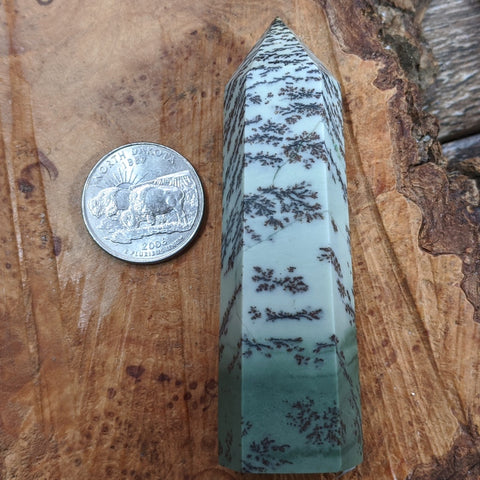 Dendritic Sage Green Jasper Generator~CRDSGJ06