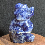 Stone Animal Carving~Sodalite Dog with Hat~CRSACV17