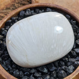 Scolecite Palm Stone~CRSCPS01