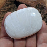 Scolecite Palm Stone~CRSCPS01