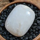 Scolecite Palm Stone~CRSCPS04