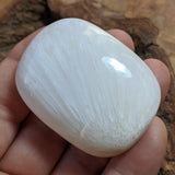 Scolecite Palm Stone~CRSCPS04