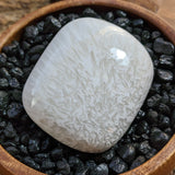Scolecite Palm Stone~CRSCPS05
