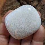 Scolecite Palm Stone~CRSCPS05