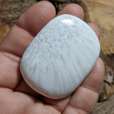 Scolecite Palm Stone~CRSCPS11