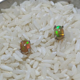 Precious Opal Post Earrings~JSSPOE01