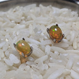 Precious Opal Post Earrings~JSSPOE02