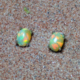 Precious Opal Post Earrings~JSSPOE03