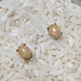 Precious Opal Post Earrings~JSSPOE04