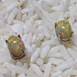 Precious Opal Post Earrings~JSSPOE04