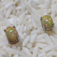 Precious Opal Post Earrings~JSSPOE04
