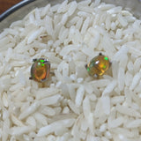 Precious Opal Post Earrings~JSSPOE05