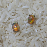 Precious Opal Post Earrings~JSSPOE09