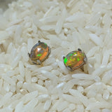 Precious Opal Post Earrings~JSSPOE09