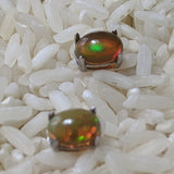 Precious Opal Post Earrings~JSSPOE10