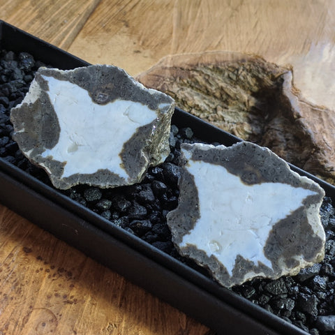 Thunderegg Pair~CRTESP02