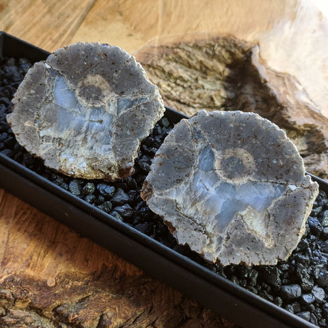 Thunderegg Pair~CRTESP03