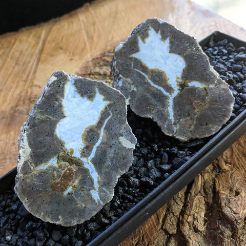 Thunderegg Pair~CRTESP10