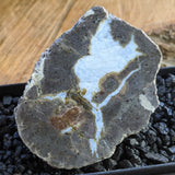 Thunderegg Pair~CRTESP10