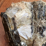 Black Tourmaline Crystal- CRBTRM34