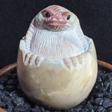Polychrome Jasper Critter Egg~ CRPCJG02