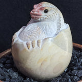 Polychrome Jasper Critter Egg~ CRPCJG02