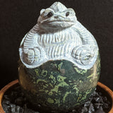 Kambaba Jasper Critter Egg~CRKJCE02