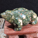 Rainforest Rhyolite Frog~CRRNFST2