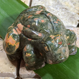 Rainforest Rhyolite Frog~CRRNFST2