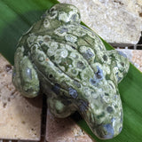 Rainforest Rhyolite Frog~CRRNFST3