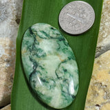 Mariposite Cabochon~JMARIPO2